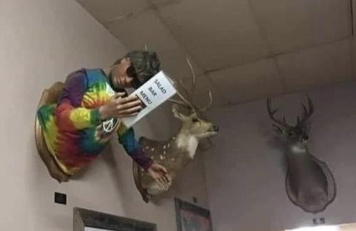 vegan