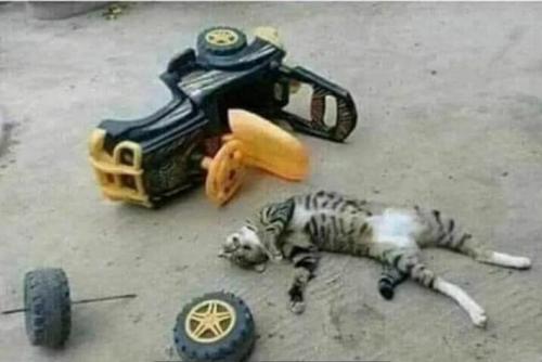 aaa