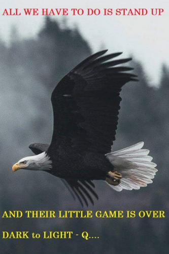 American Eagle - New JEA meme