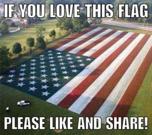 USA love this flag