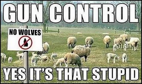USA Gun control