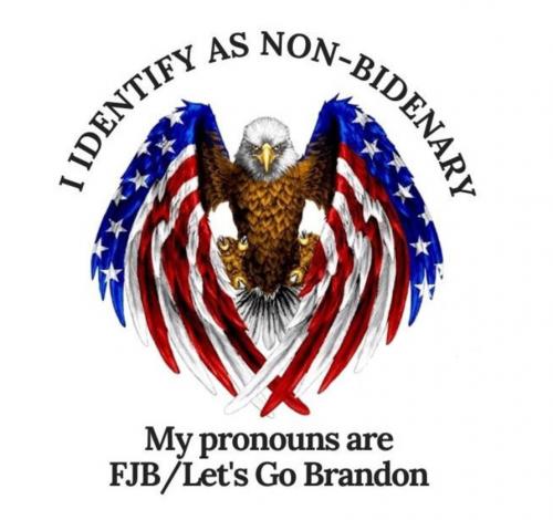 B non Bidenary 06