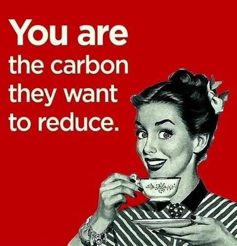 USA carbon reduce