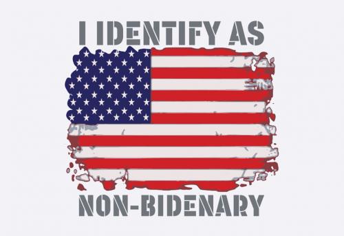 B non Bidenary 02
