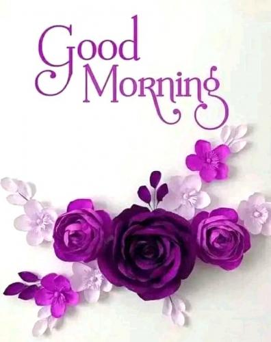 092723 - GM purple flwrs