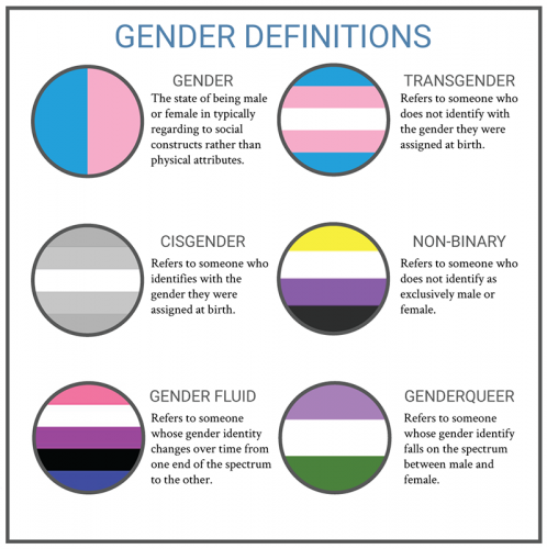 B gender definitions