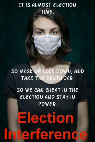 RO Election interference