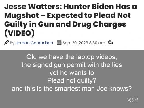 Hunter pleads idiot