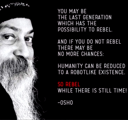 Rebel