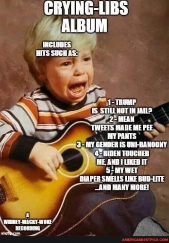 CRYING LIBS ALBUM   TS
