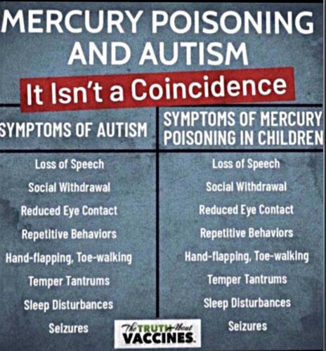 Mercury & Autism
