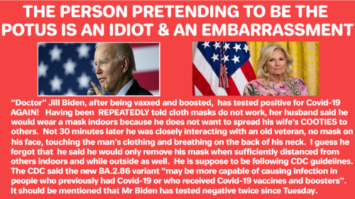 Biden Is Idiuot cont