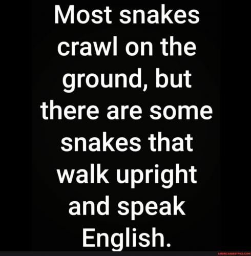 77cca636b30bb3d1dc6477723c914b60b840aa72454e725029dc86928fd81284_1.jpg