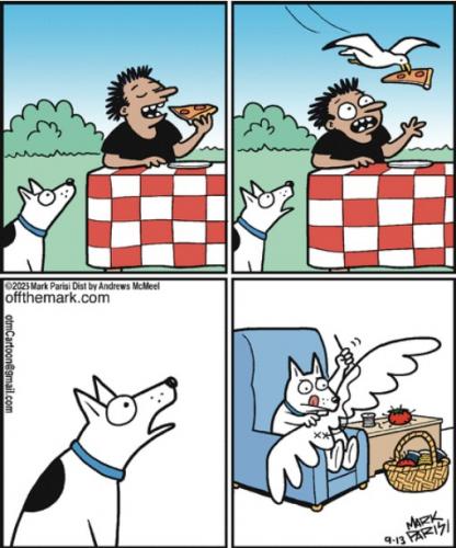 Screenshot 2023-09-13 at 07-10-12 Off the Mark by Mark Parisi for September 13 2023 GoComics