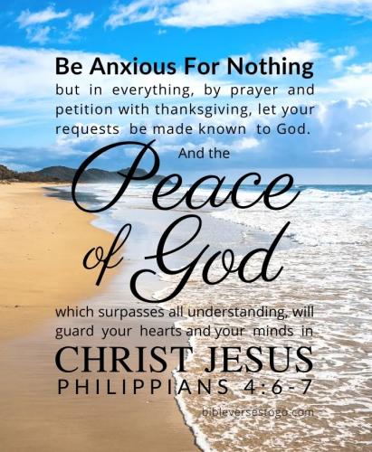 IMG_20230928_125314_434