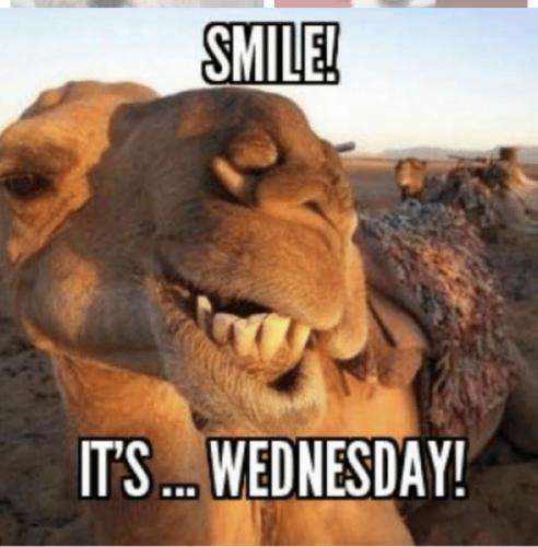 Happy Wednesday