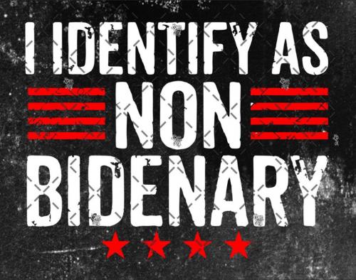 B non Bidenary 03