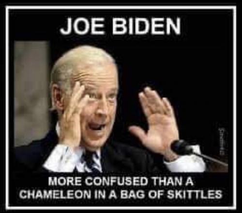 biden confused