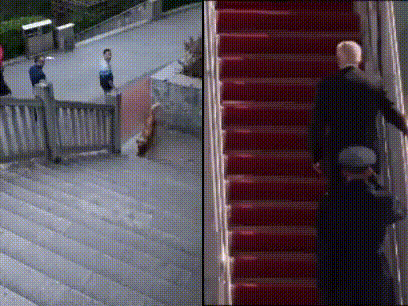 WorthlessFuckingLiberalsCantWalkUpStairs