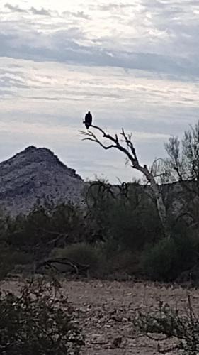 IMG_20230922_085255209