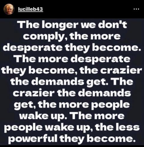 141fcacc-fb26-4f8e-86fa-4a11c869e61d