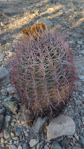 IMG_20230924_072831245_HDR