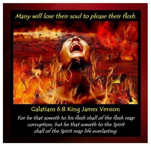 Galatians 6:8