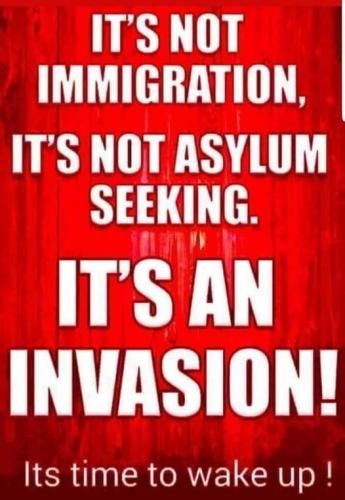 Not Immigration but Invasion