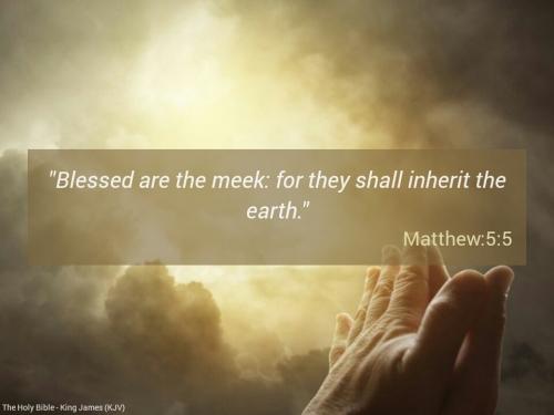 IMG_20230921_114002_182