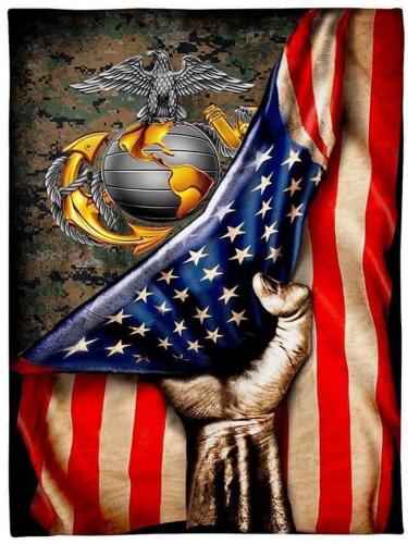Marines - EGA with camo and Amer. flag