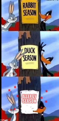 allergy-season