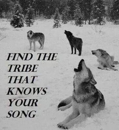 find