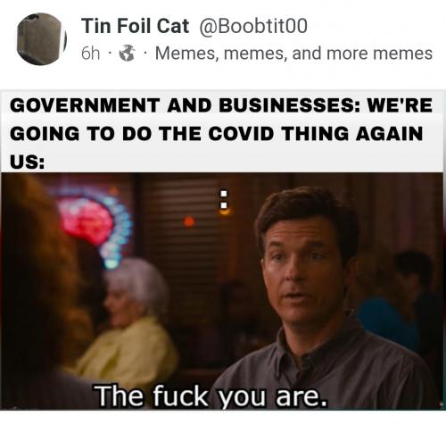 Screenshot_20230910-144418_Brave