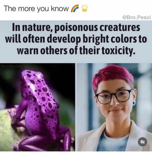 toxic hair
