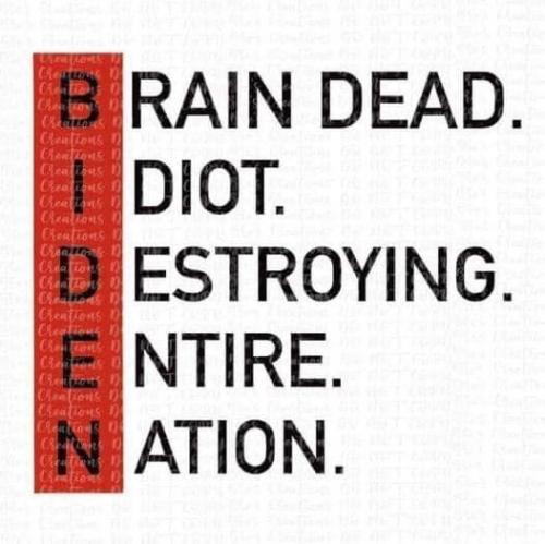 BRAIN DEAD BIDEN    FB
