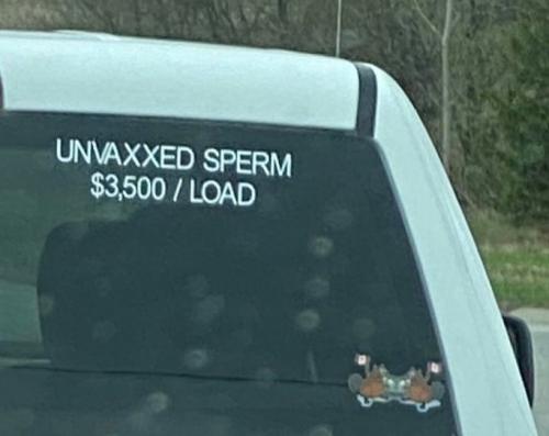 sperm1