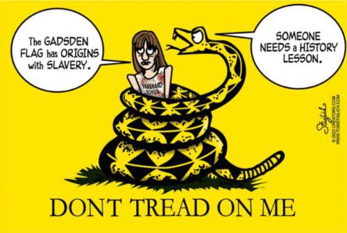 USA Gadsden flag history