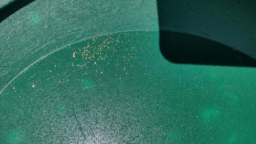 IMG_20230905_144050488_HDR