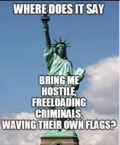 STATUE OF LIBERTY ILLEGALS