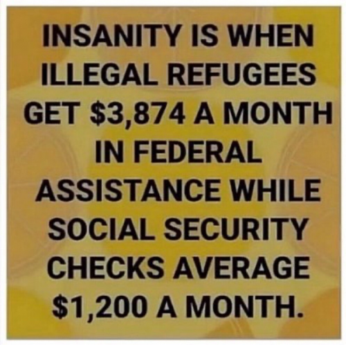 M insanity