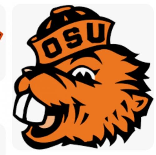 Screenshot_20230929-174428_Google