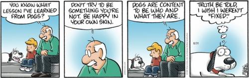 Screenshot 2023-08-31 at 06-58-48 Pickles by Brian Crane for August 31 2023 GoComics