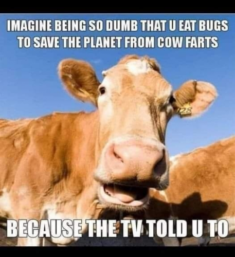 cow-farts