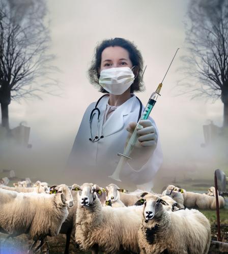 flock of masked sheep in a misty cemetary with maniac smiling doctor with a big syringe_cr