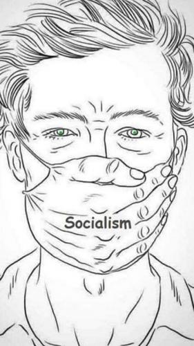 USA socialism