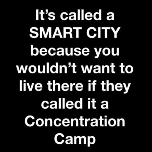 Why smart cities are called smart cities