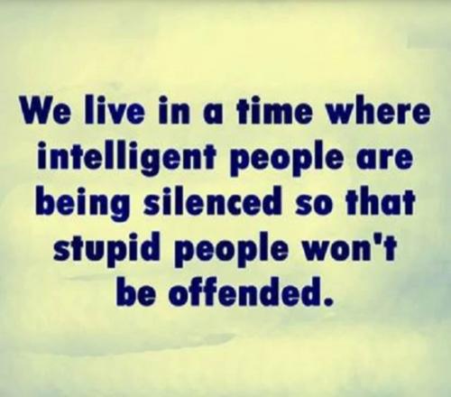 USA intelligent silenced