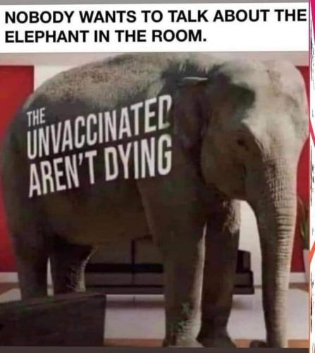 unvax not dying