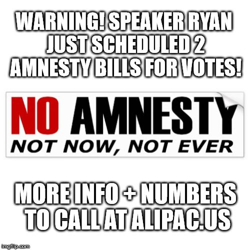 StopPaulRyanAmnestyDealAlipac
