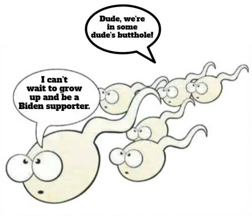 Biden supporters gay sperm